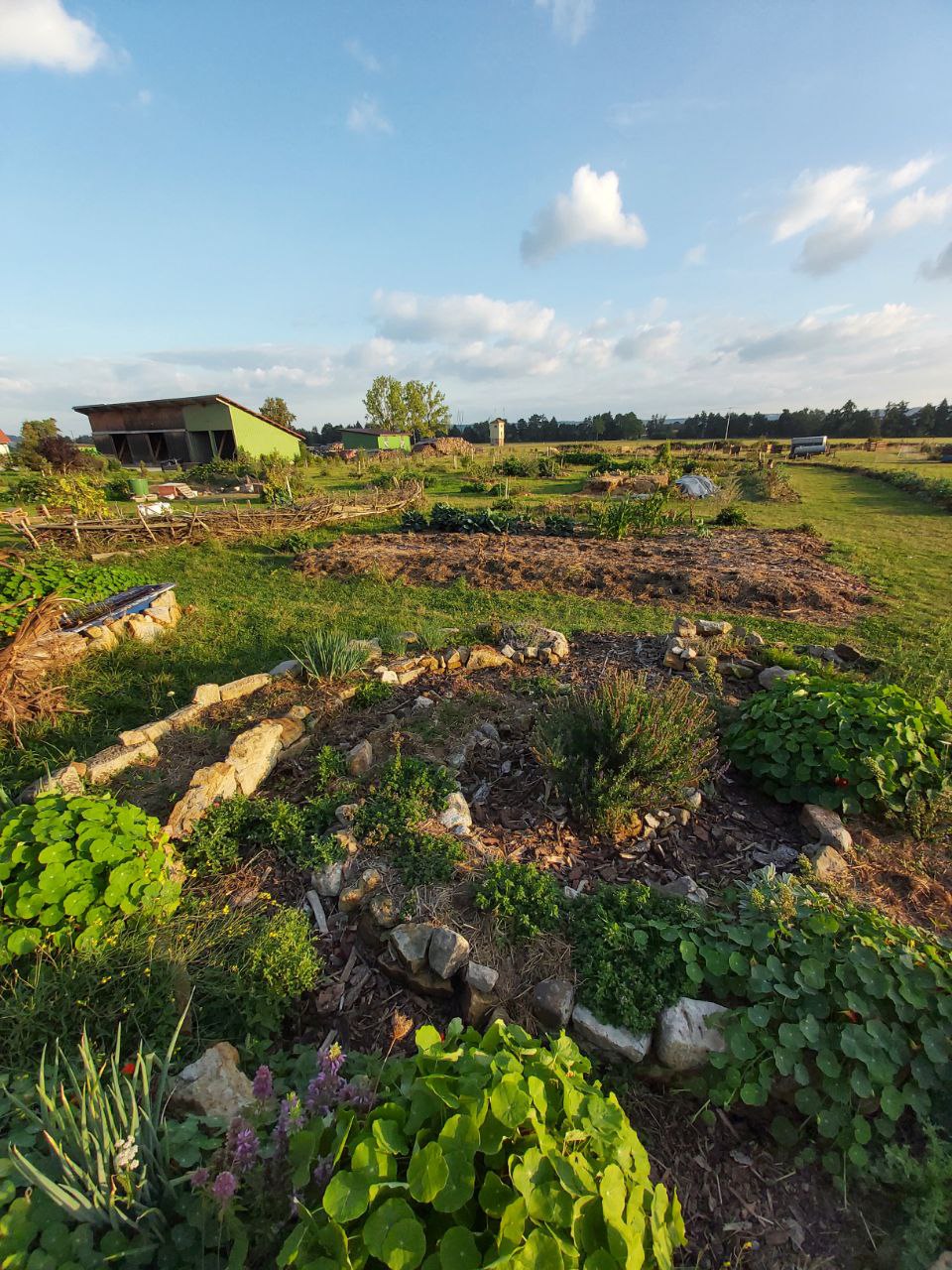 photo_5427251508975625612_y