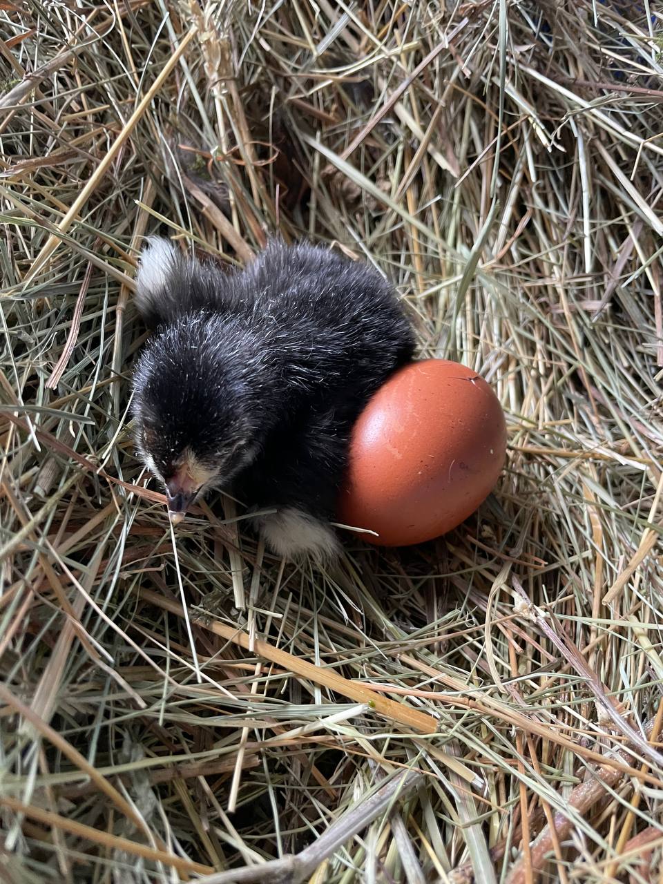 photo_5467388760040785542_y