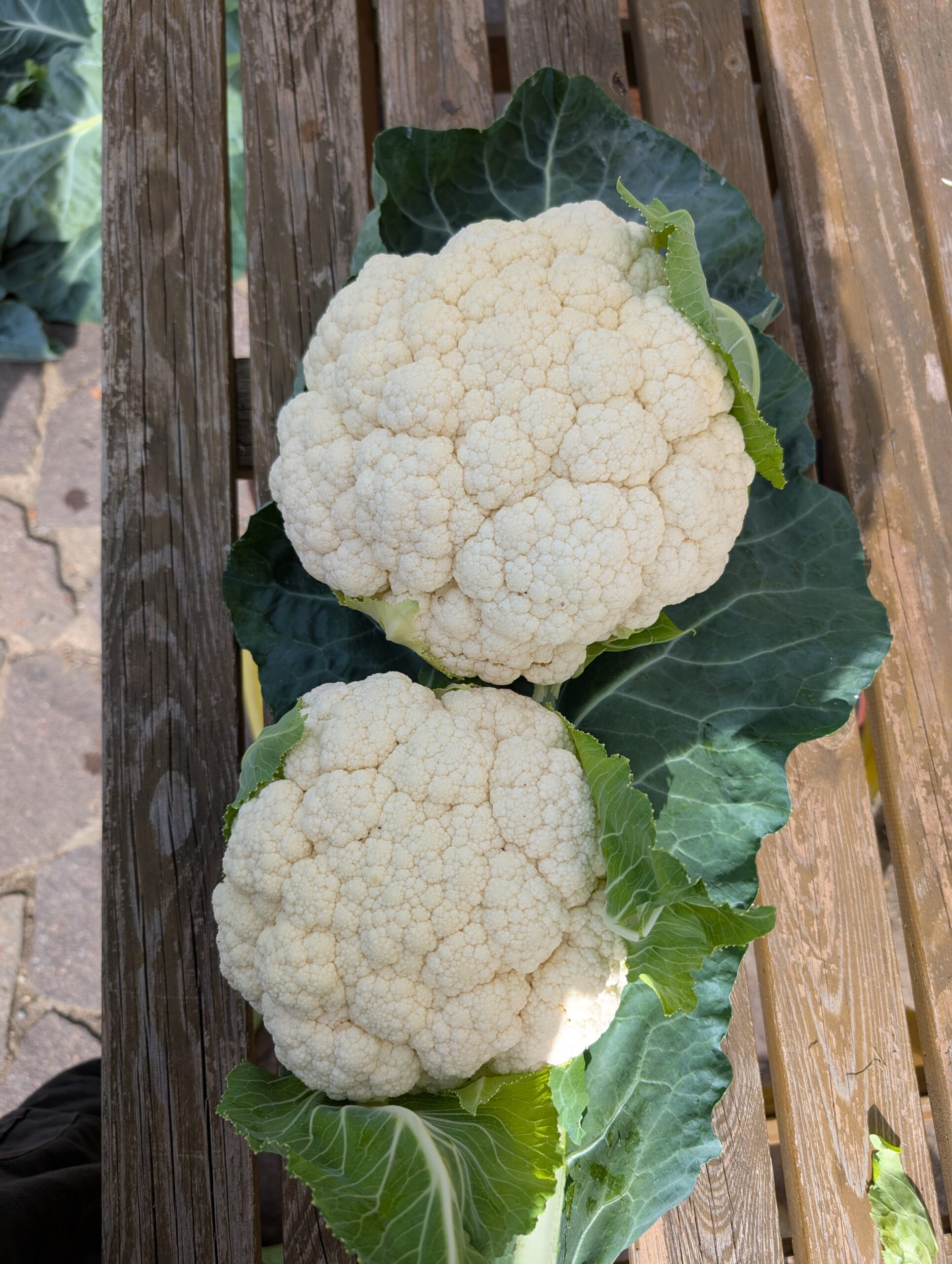 PXL_20250527_073523275