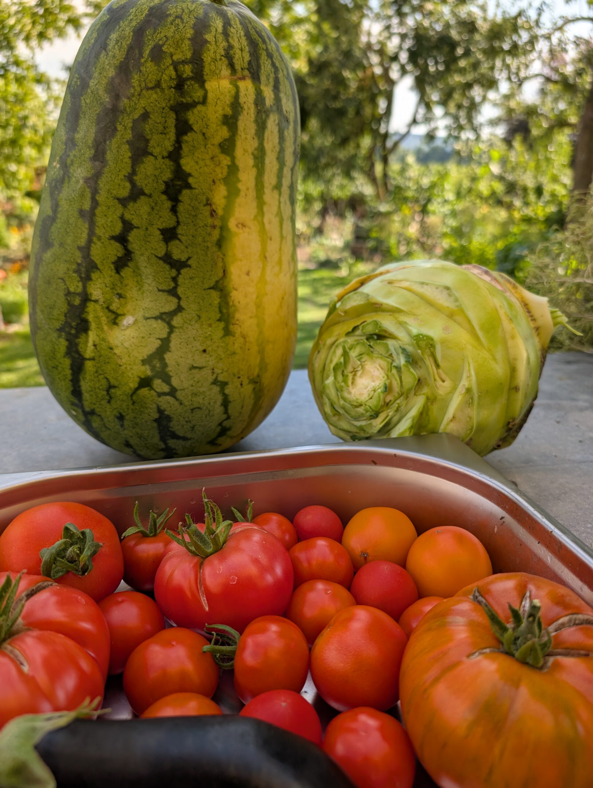 PXL_20250809_145612598